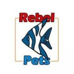 Rebel Pets