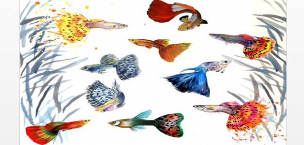 cropped Fish Friends Banner 1 1