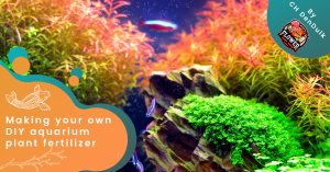 Making your own DIY aquarium plant fertilizer