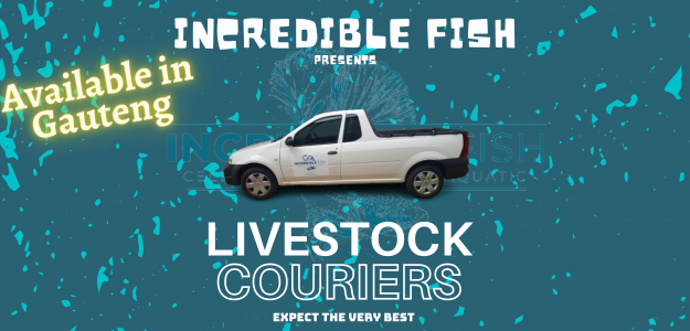 cropped incredible Fish Presents