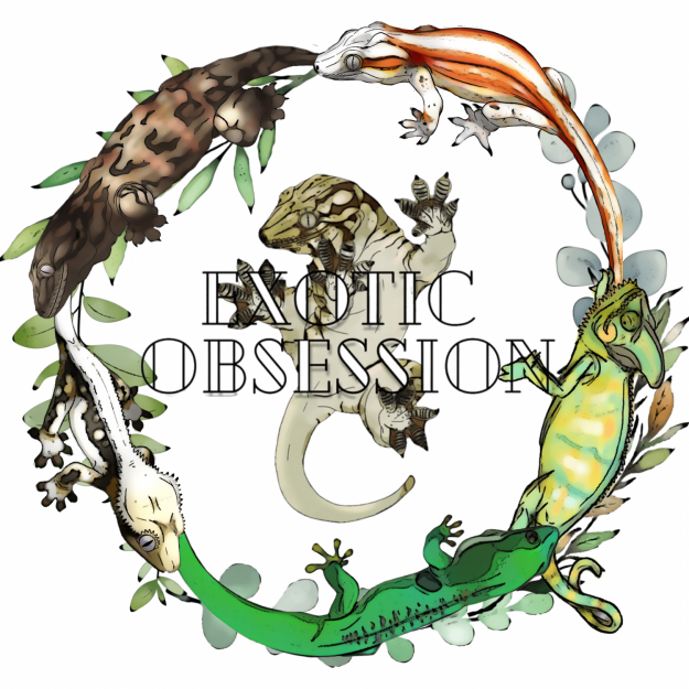Exotic Obsession