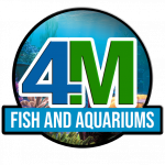 4M Fish and Aquariums