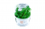 TROPICA Rotala rotundifolia ‘Green’